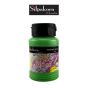 สีอะครีลิค S1 #116 PERMANENT GREEN LIGHT Silpakorn Padit ขนาด 250 ML. จำนวน 1 กระปุก