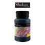 สีอะครีลิค S1 #120 Silpakorn GREEN Silpakorn Pradit ศิลปากรประดิษฐ์ ขนาด 250 ML. จำนวน 1 กระปุก