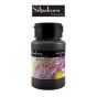 สีอะครีลิค S1 #129 BURNT UMBER Silpakorn Padit ศิลปากรประดิษฐ์ ขนาด 250 ml. จำนวน 1 กระปุก