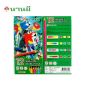 NANMEE ตรานานมี ดินสอสีไม้ยาว 12 สี+ฟรีกบเหลา NM 2003/12